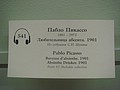 DSC05248.JPG