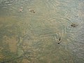 DSC05412.JPG
