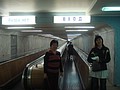 DSC05538.JPG