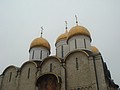 DSC05553.JPG