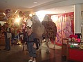 DSC05641.JPG