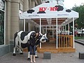 DSC05668.JPG