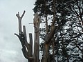 DSC05681.JPG