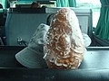 DSC05682.JPG