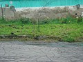 DSC05744.JPG