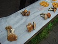 DSC05757.JPG