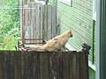DSC05777.JPG