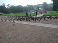 DSC05778.JPG