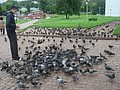 DSC05852.JPG