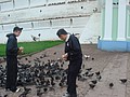 DSC05857.JPG