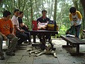DSC05923.JPG