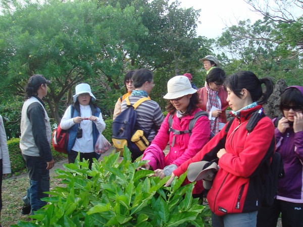 DSC06049.JPG