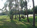 DSC06018.JPG