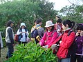 DSC06049.JPG