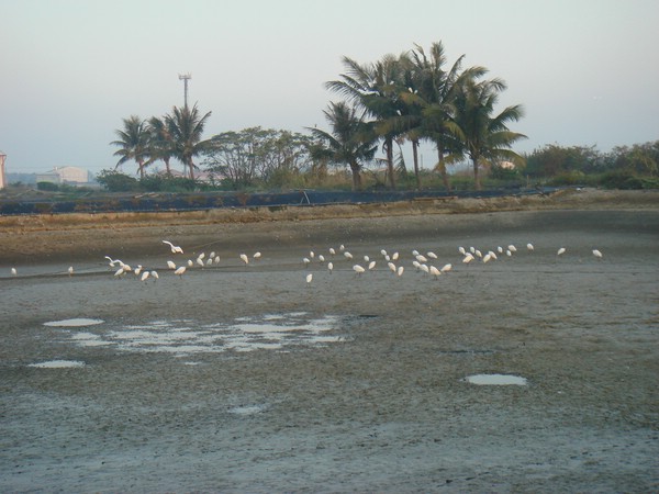 DSC06296.JPG