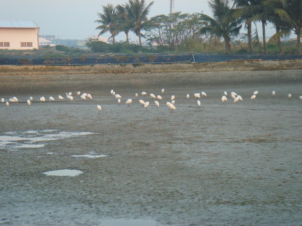 DSC06297.JPG