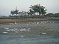DSC06296.JPG