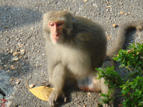 DSC06152.JPG