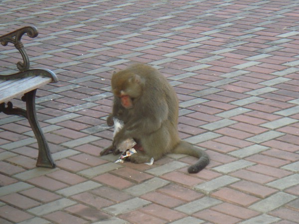 DSC06157.JPG