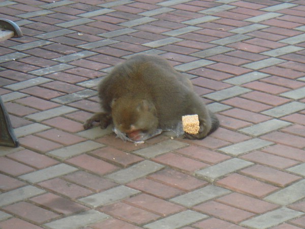 DSC06158.JPG