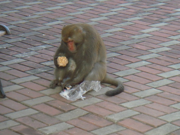DSC06159.JPG
