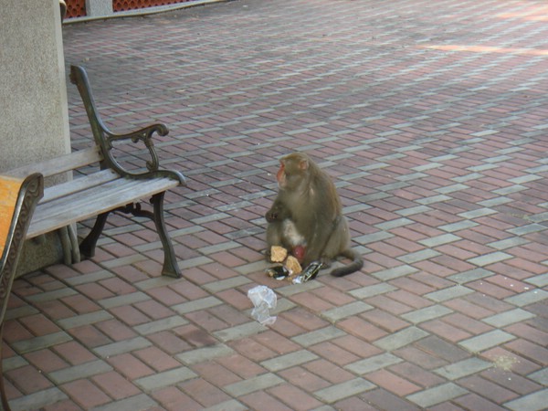 DSC06160.JPG
