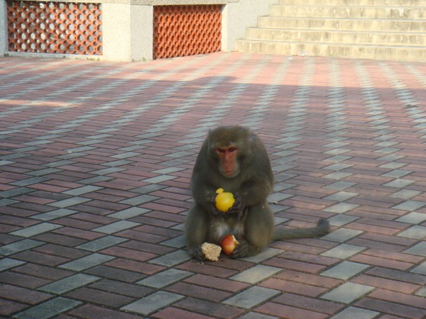DSC06162.JPG