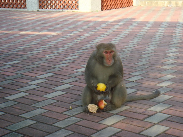 DSC06163.JPG