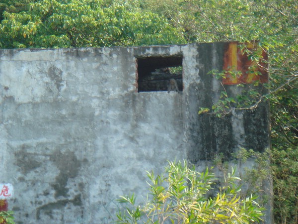 DSC06171.JPG