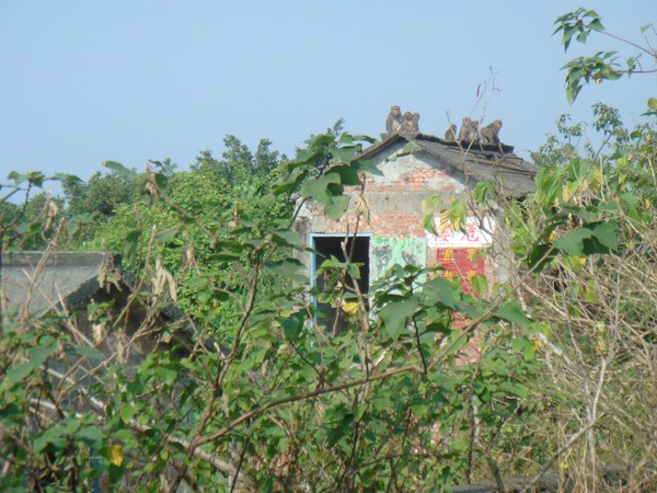 DSC06204.JPG