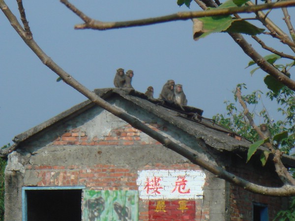 DSC06205.JPG