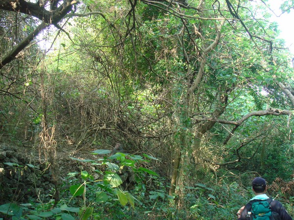 DSC06207.JPG