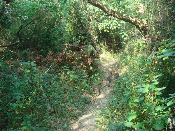 DSC06208.JPG