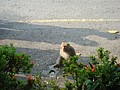 DSC06150.JPG