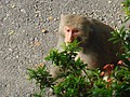 DSC06151.JPG