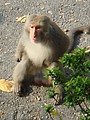 DSC06153.JPG