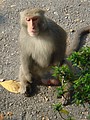 DSC06154.JPG
