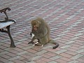 DSC06157.JPG
