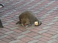 DSC06158.JPG