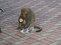 DSC06159.JPG