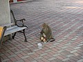 DSC06160.JPG