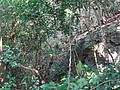 DSC06165.JPG
