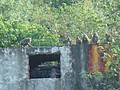 DSC06170.JPG