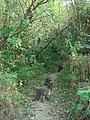 DSC06174.JPG