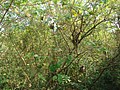 DSC06176.JPG