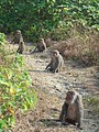 DSC06181.JPG