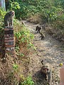 DSC06184.JPG