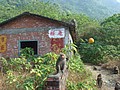 DSC06187.JPG