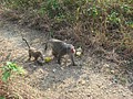 DSC06195.JPG
