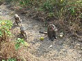 DSC06196.JPG